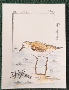 ali radwani doha qatar sketch sketchbook watercolor water color drawing skills