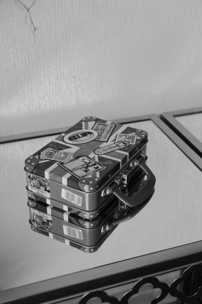 Fujifilm X-T30ii camera