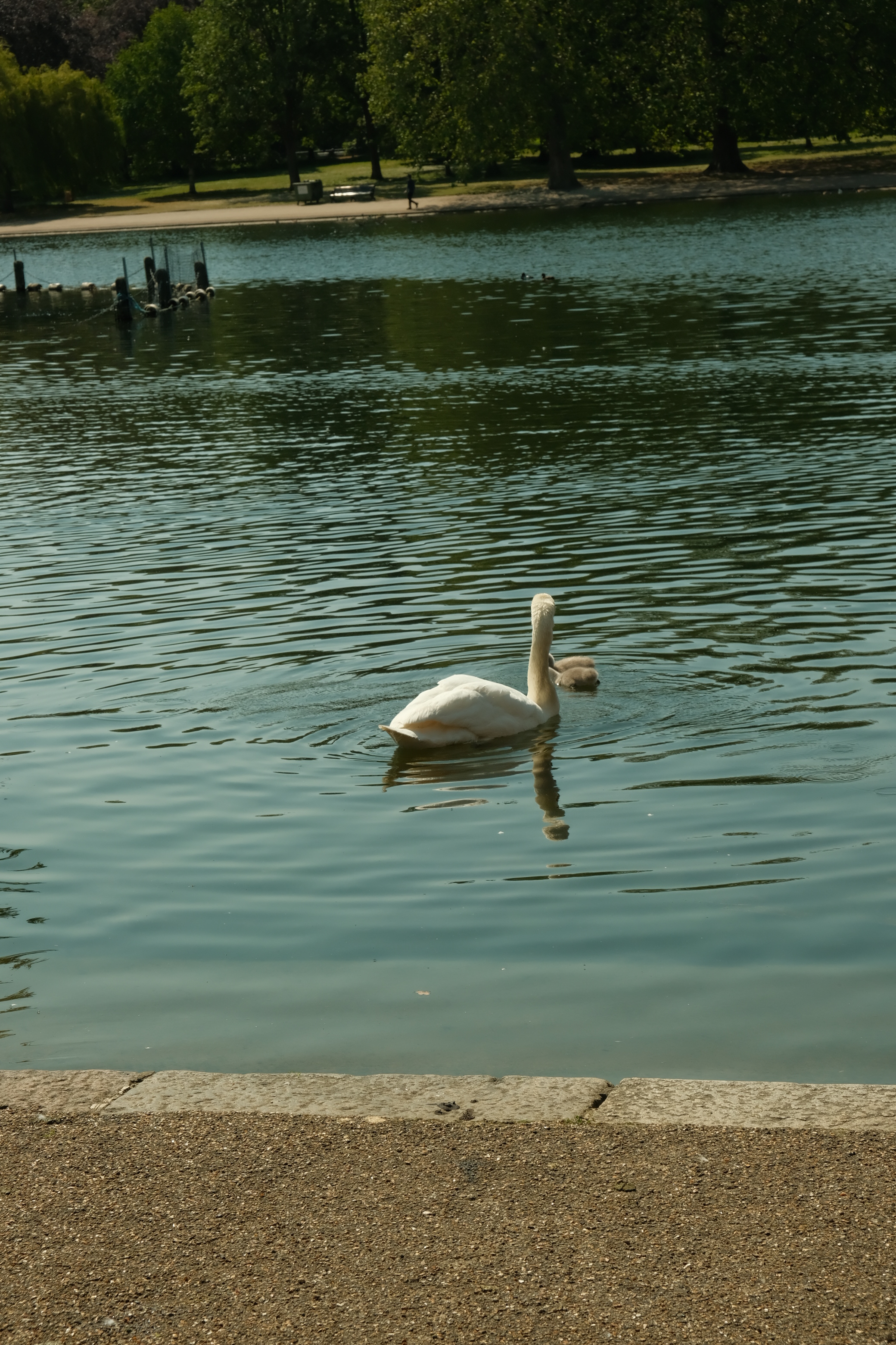 Radwani london camera Fujifilm X-T30ii