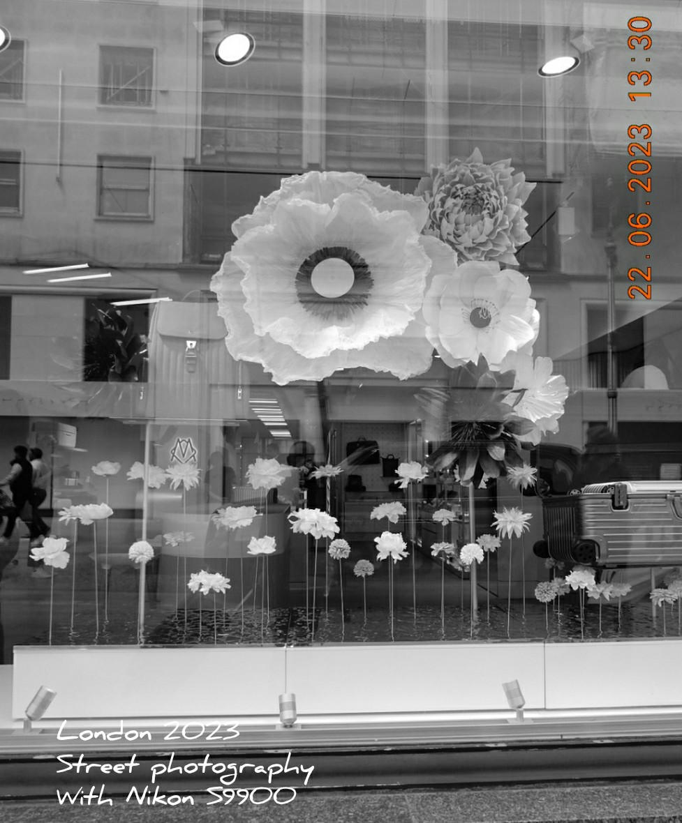 london Oxford nikon S9900 radwani street bnw