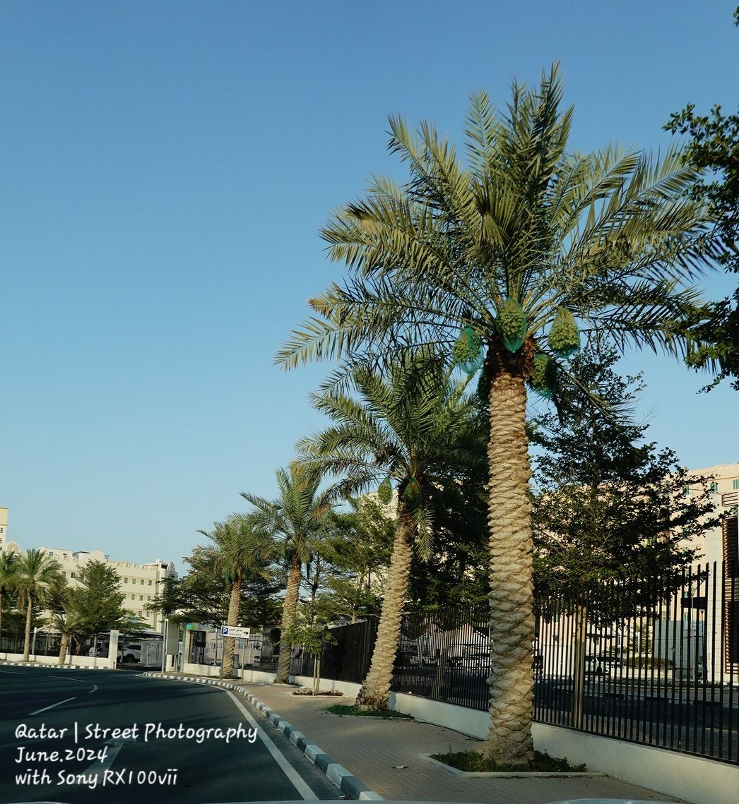 radwani photography sony RX100vii RX100M7 blackandwhite qatar street sample