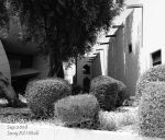 NMoQ fujifilm  qatar national museum doha radwani ali sony nikon rx100