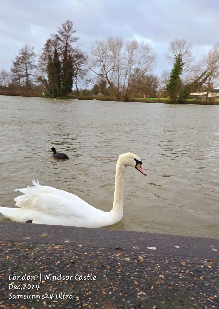 radwani camera nikon fujifilm Sony RX100vii RX100M7 blackandwhite qatar street photography London museum