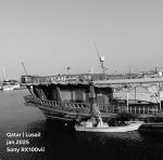 radwani fuji xt30ii sony rx100 nikon doha qatar camera 